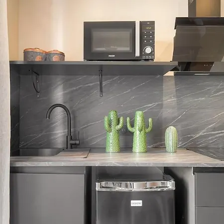 Apartman Moderne Et Equipe En Duplex,